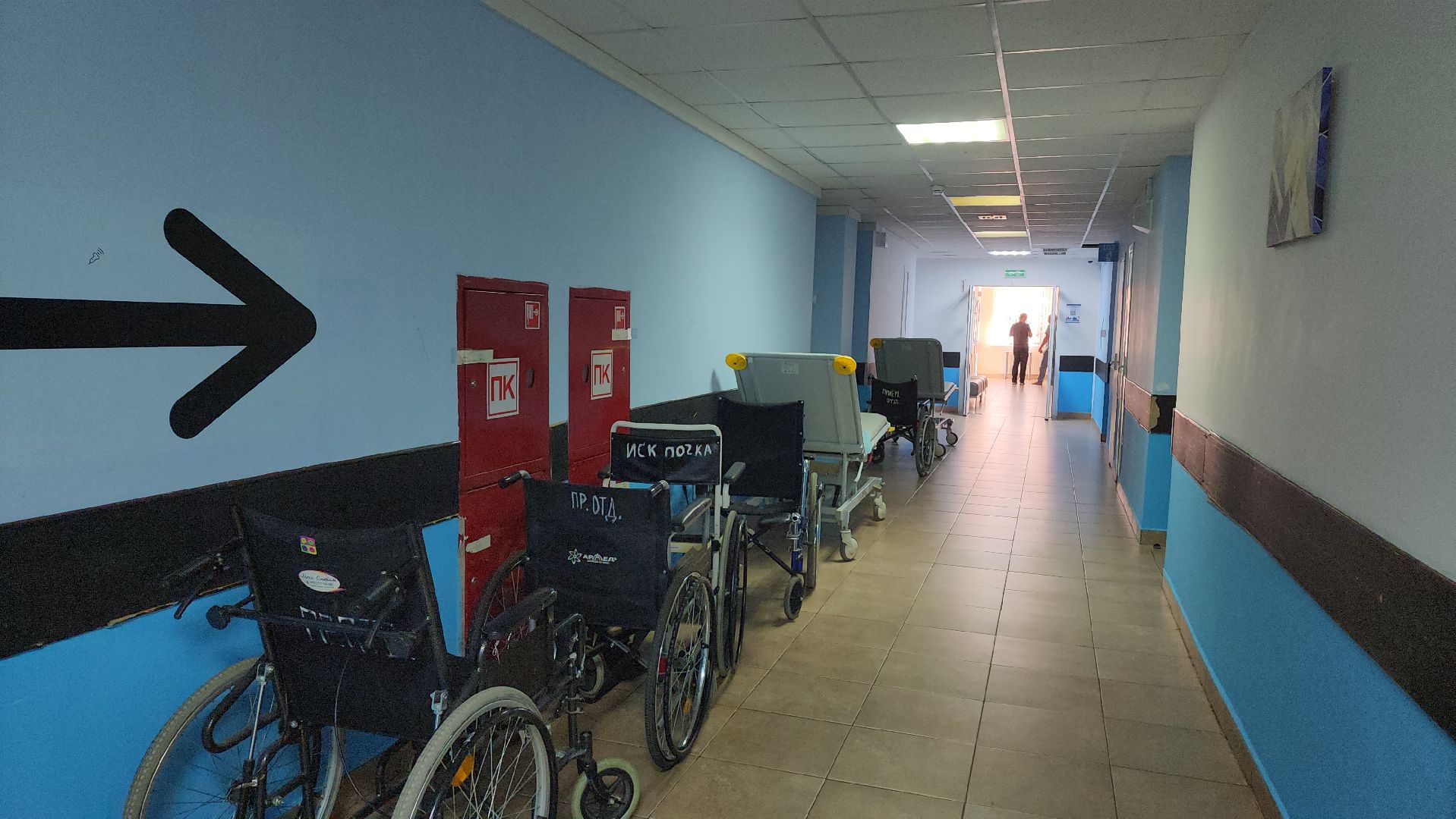 Укус змеи, Долгопрудный, первая помощь,