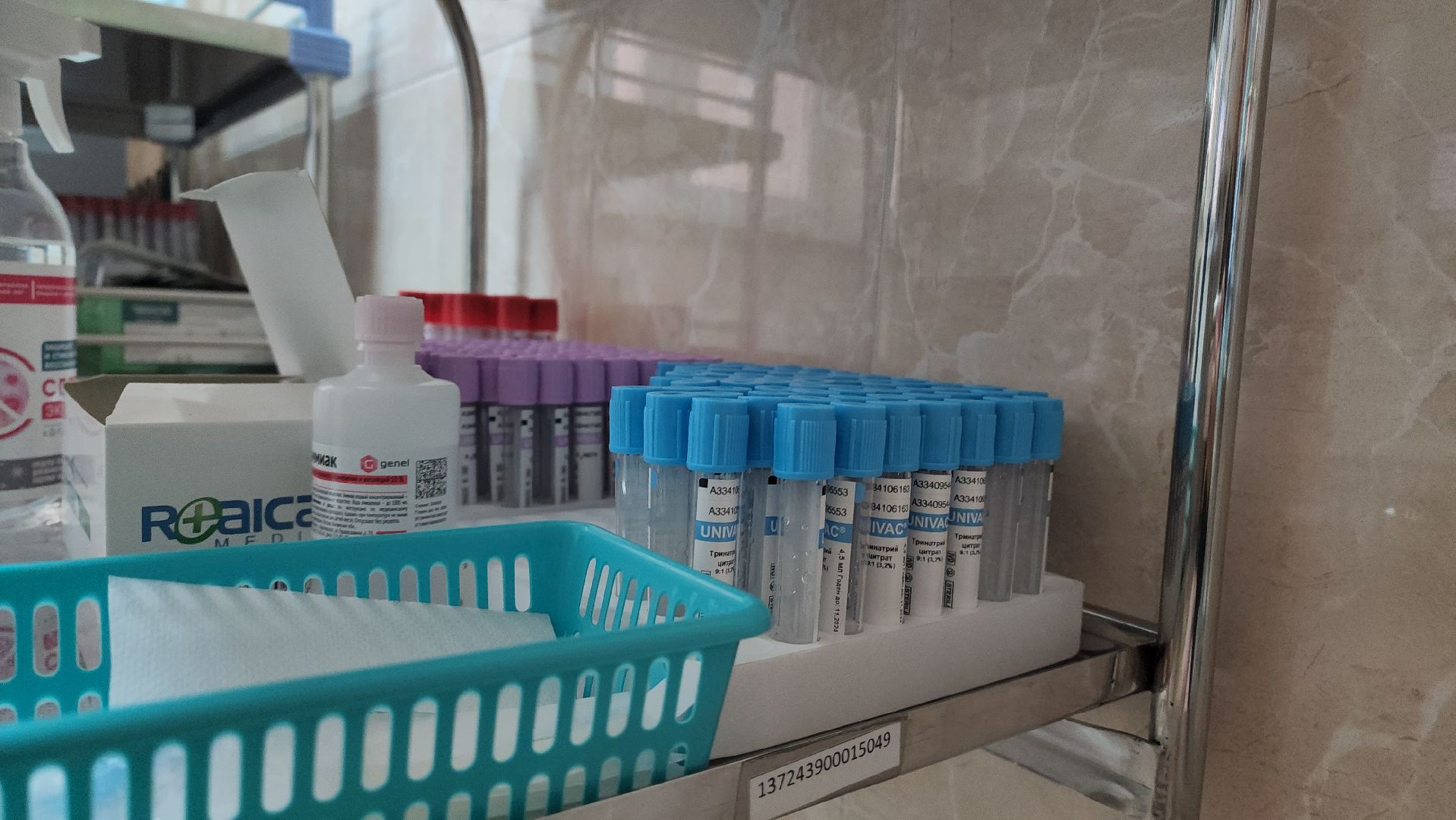 Укус змеи, Долгопрудный, первая помощь,