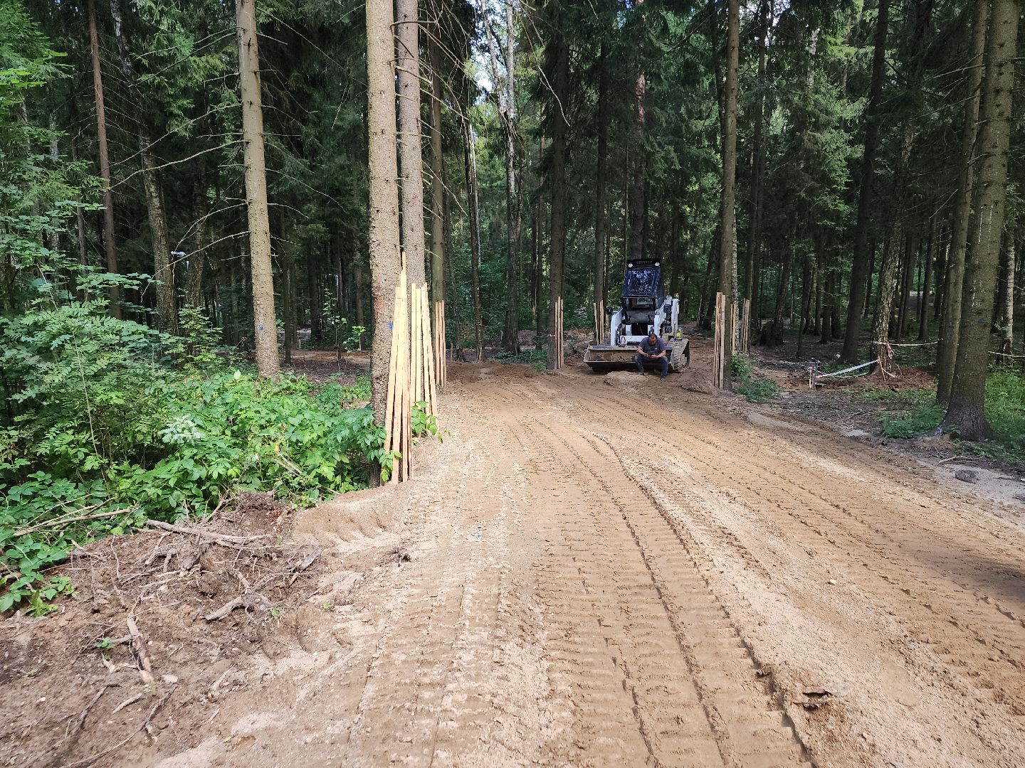 красногорск, благоустройство, плотина, пляж, хайкин, изумрудные холмы, лесопарк,