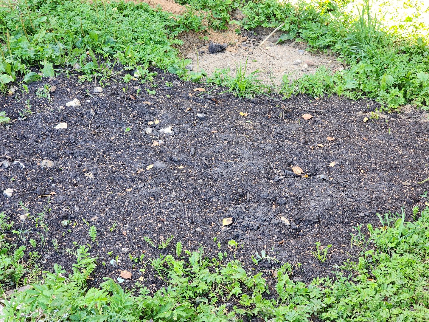 Мишинки, добродел, благоустройство, руза, рузский городской округ, подмосковье, московская область,