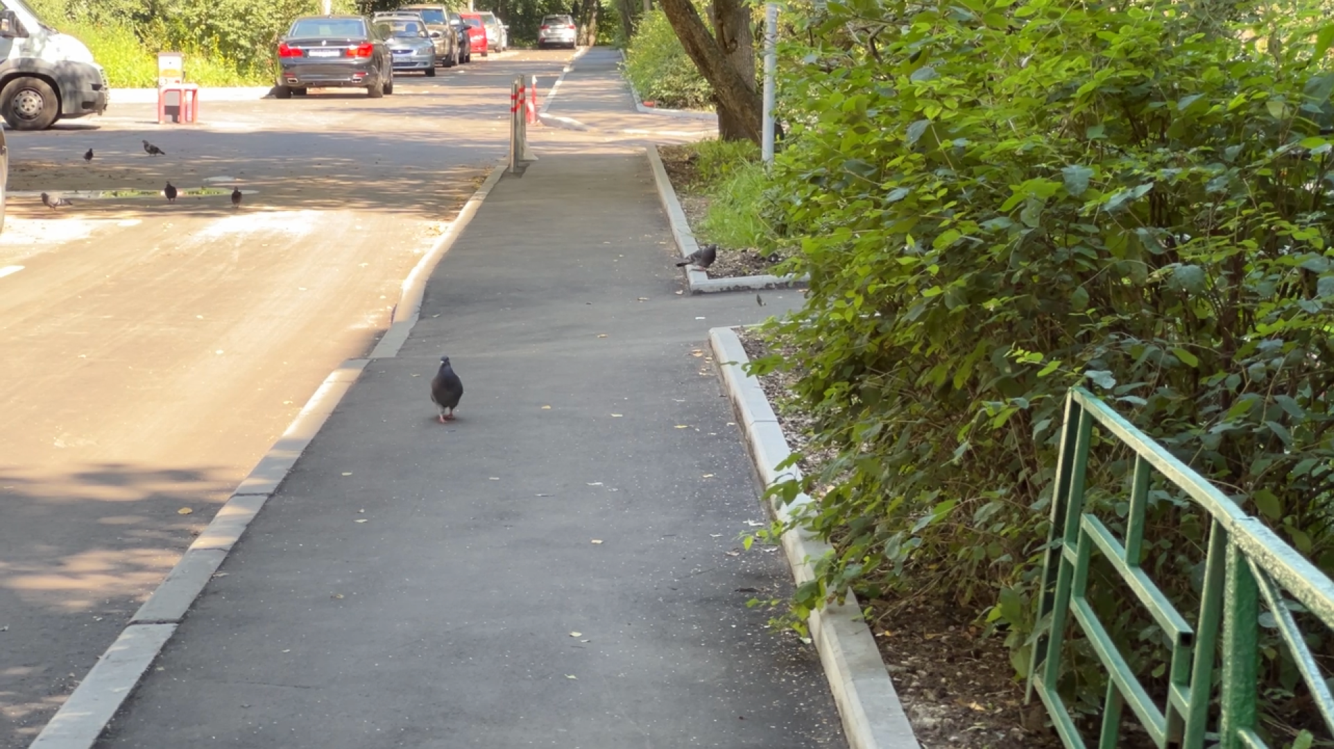 химки, выездная администрация, замена асфальта, замена асфальта во дворе, благоустройство,