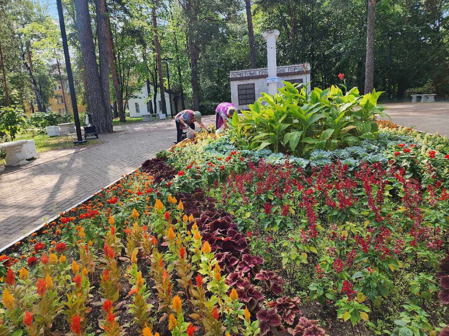 Дубна, Клумбы, Озеленители, коммунальные службы,