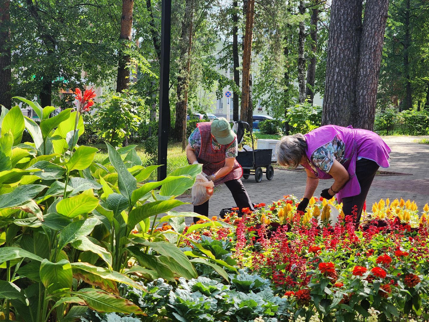 Дубна, Клумбы, Озеленители, коммунальные службы,