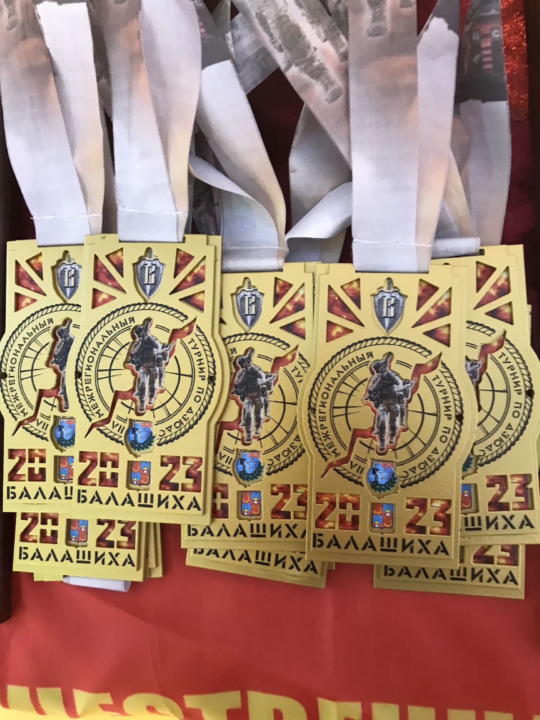 Балашиха, общество