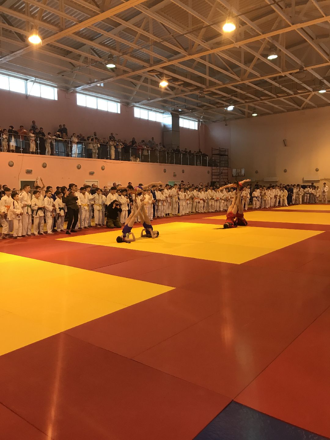 Балашиха, общество