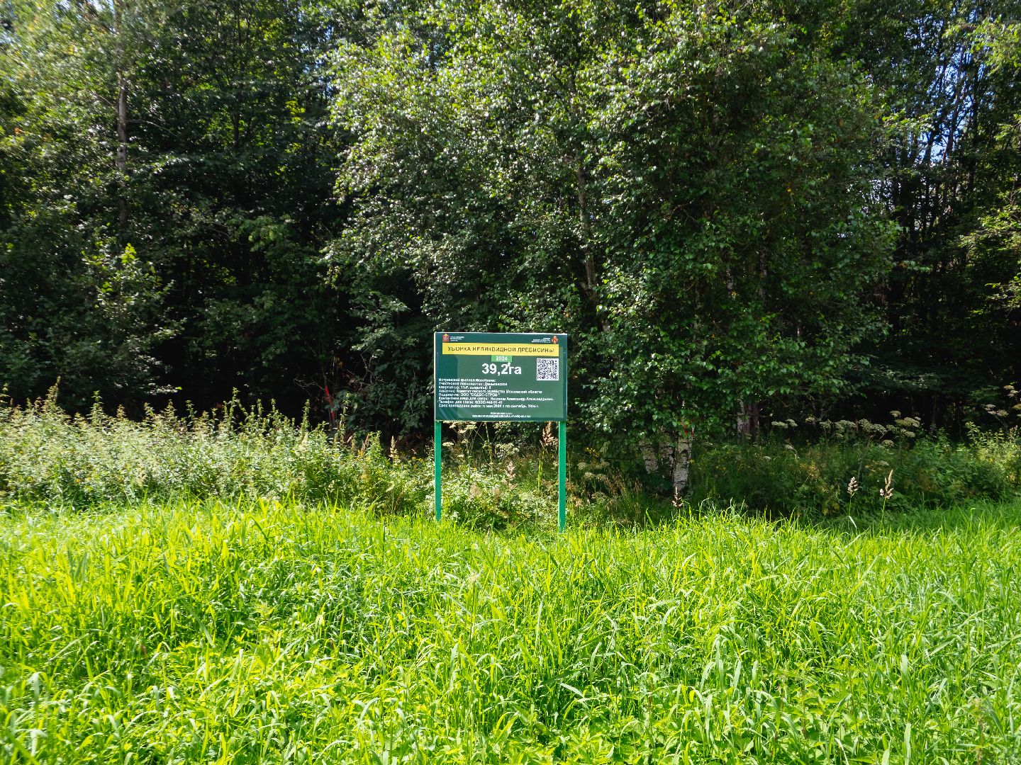 подмосковье, лесничество, экология,