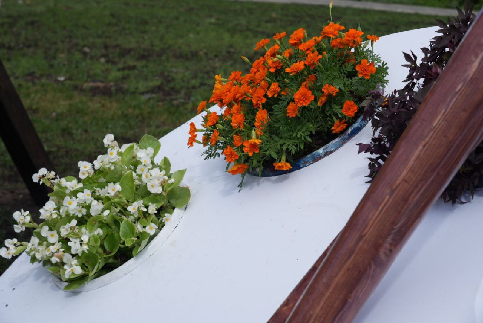 Благоустройство, Арт-объект, Цветы, Лето, Украшение города, Цветочная композиция, Живая картина,