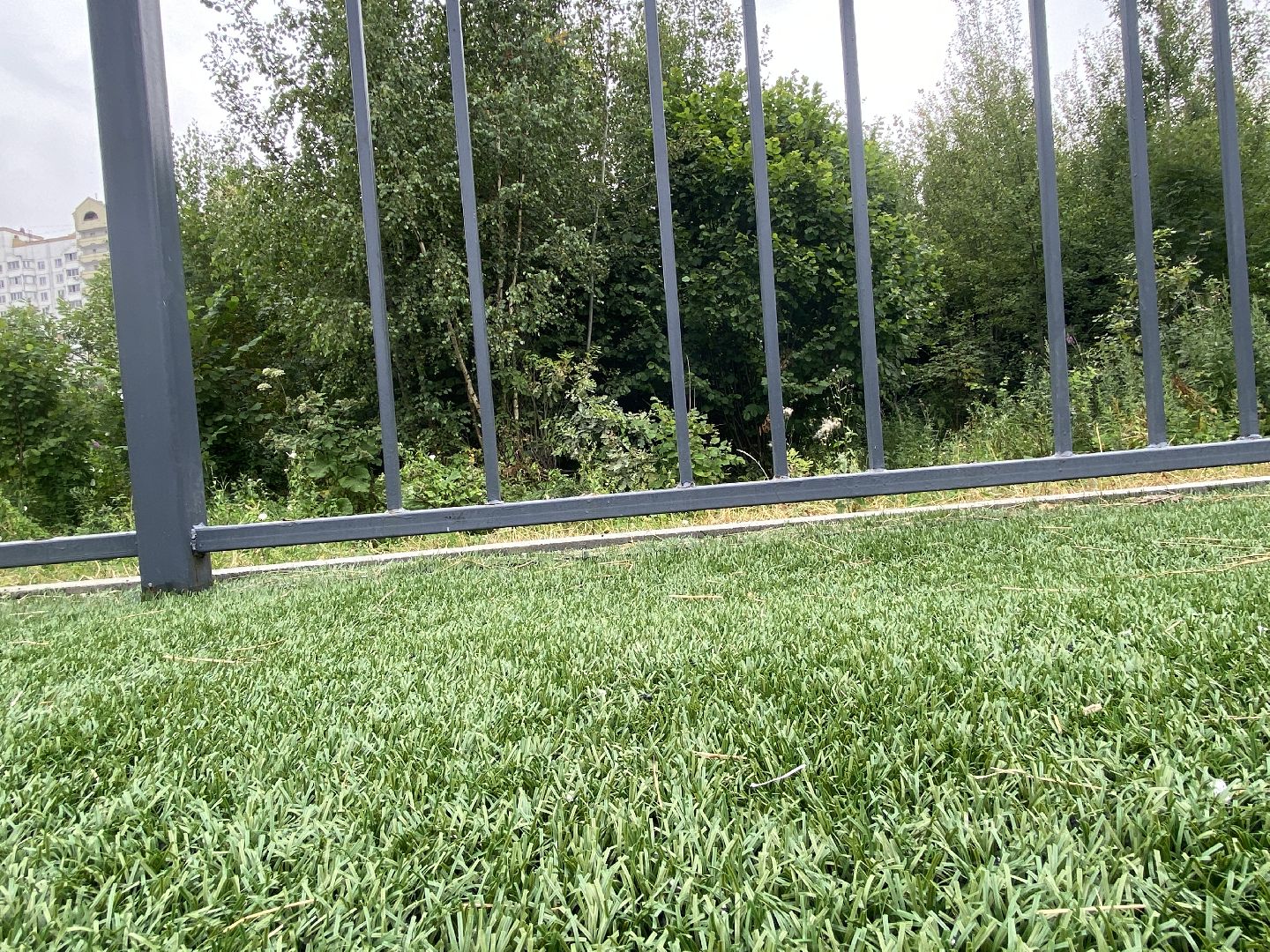 обход территории власиха, обращений жителей, Власиха мкр Заозерный, спортивная площадка власиха, футбольное поле власиха,