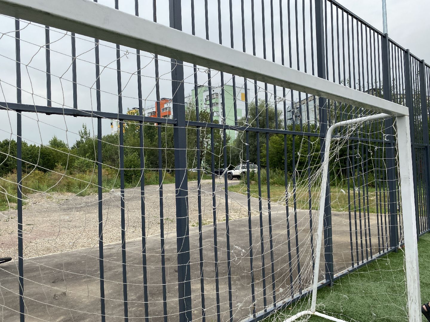 обход территории власиха, обращений жителей, Власиха мкр Заозерный, спортивная площадка власиха, футбольное поле власиха,