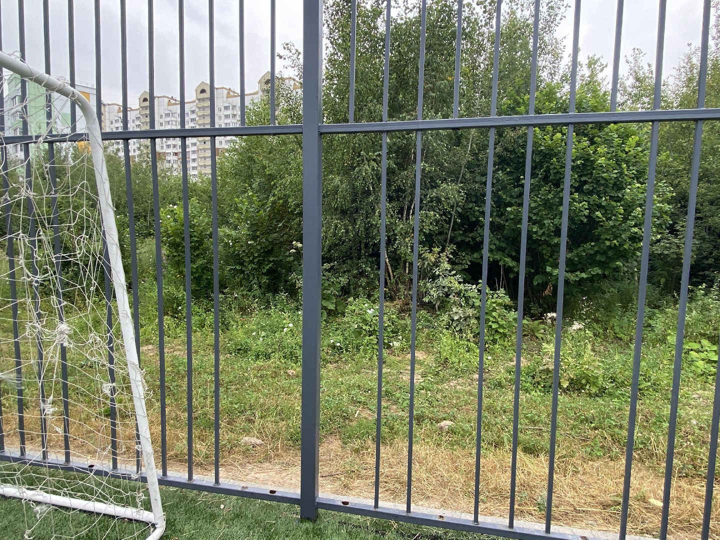 обход территории власиха, обращений жителей, Власиха мкр Заозерный, спортивная площадка власиха, футбольное поле власиха,