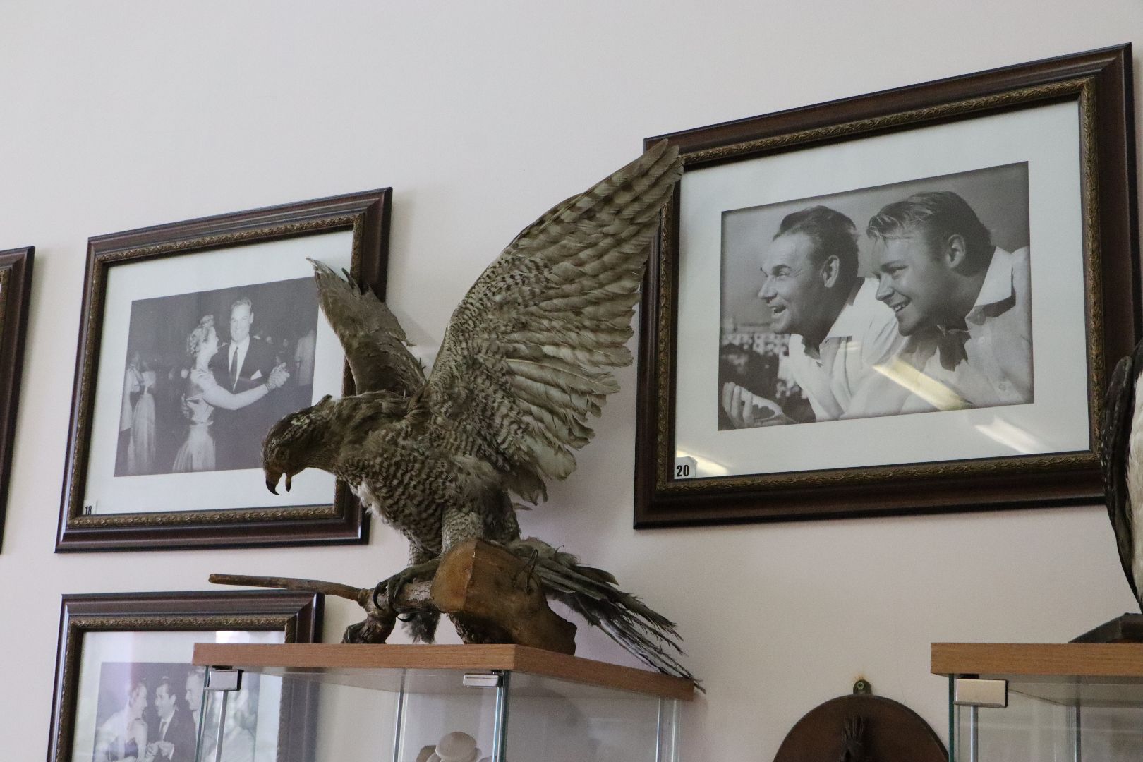 Столяровские встречи, Беззубово, Серебряные Пруды, жизнь интересных людей,