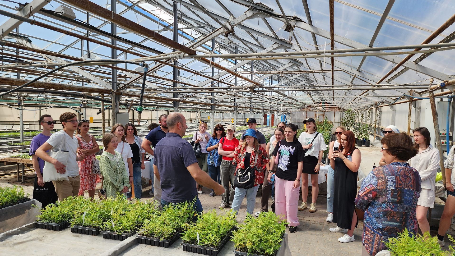 кашира, питомник Влада Ковальчука, многолетние растения, цветы, хвойные растения, озеленение города, лес победы, чубушник,