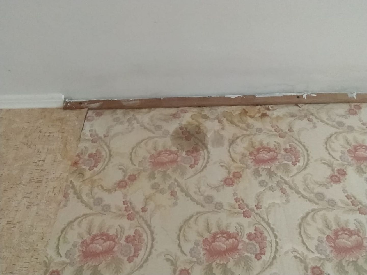 жкх, выездная администрация, лобня,