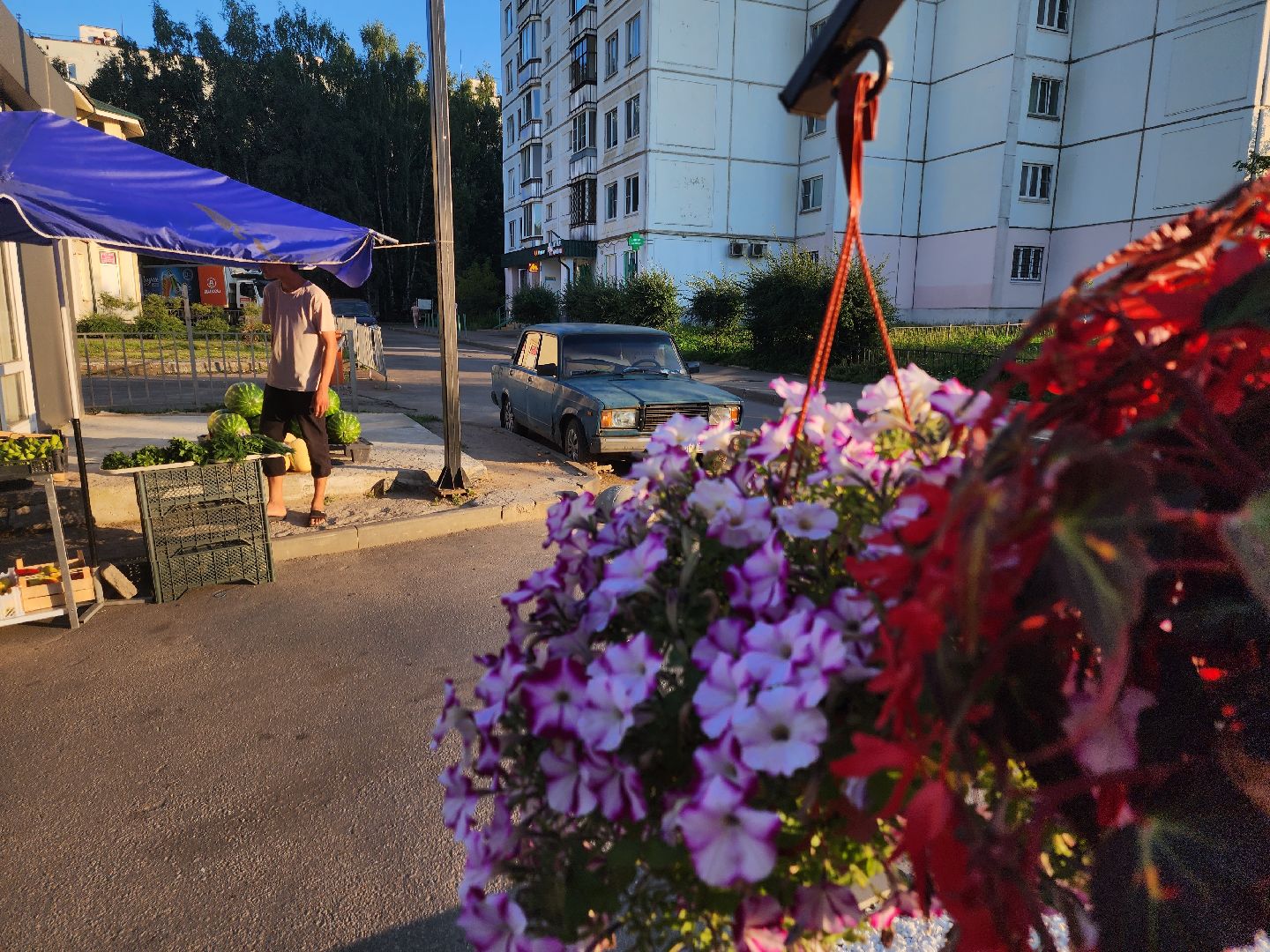 долгопрудный, МЦД Водники, клумбы, проспект пацаева, киоск,