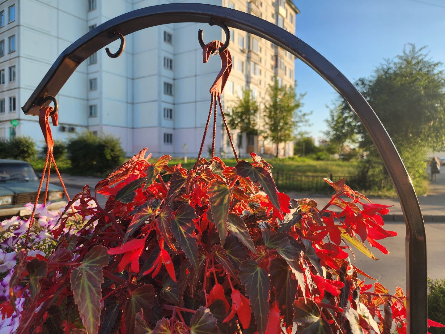 долгопрудный, МЦД Водники, клумбы, проспект пацаева, киоск,