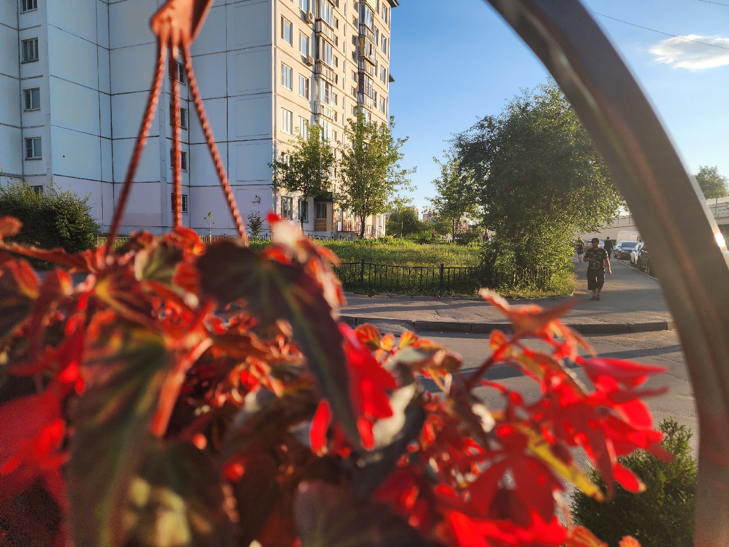 долгопрудный, МЦД Водники, клумбы, проспект пацаева, киоск,