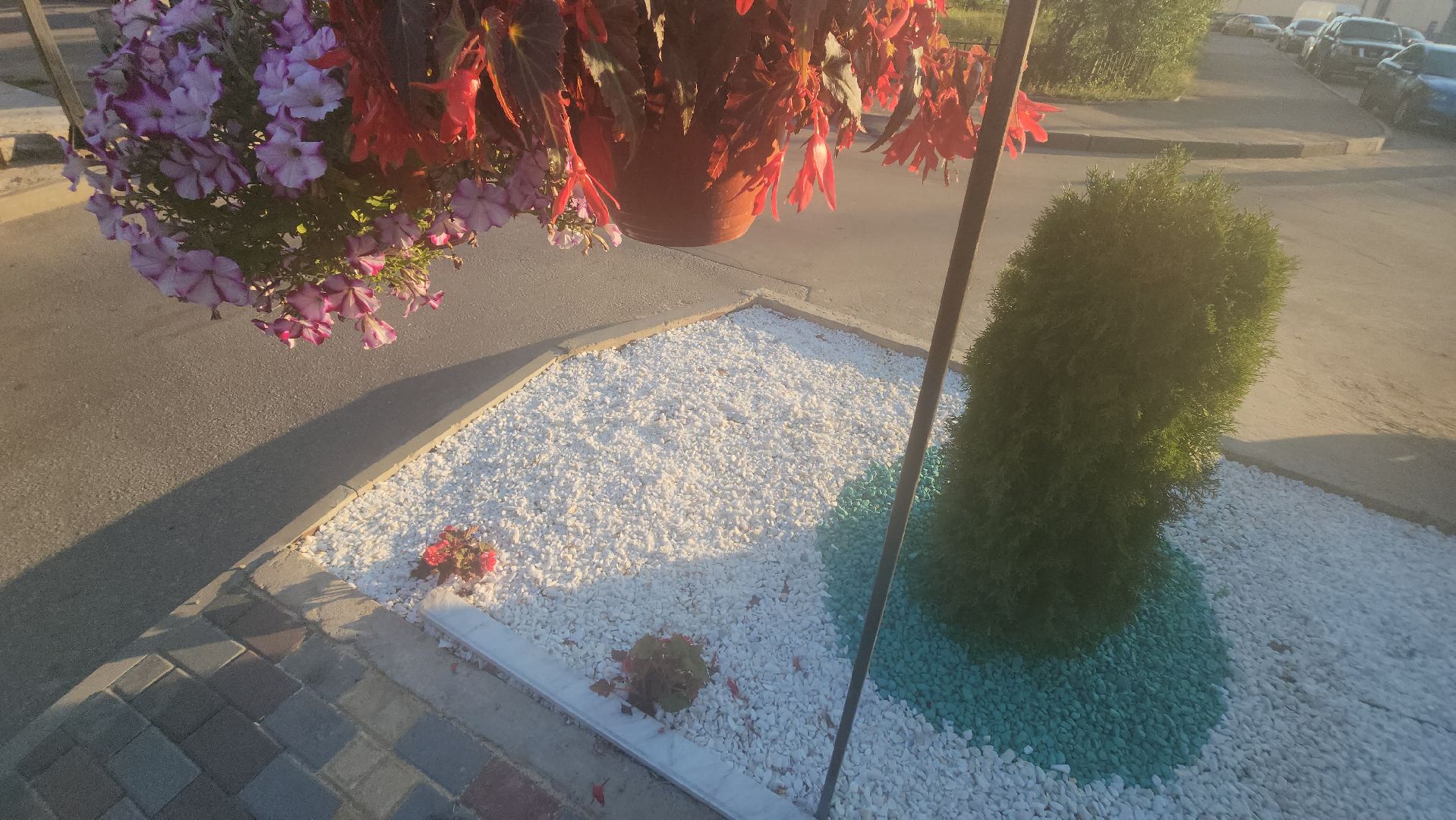 долгопрудный, МЦД Водники, клумбы, проспект пацаева, киоск,