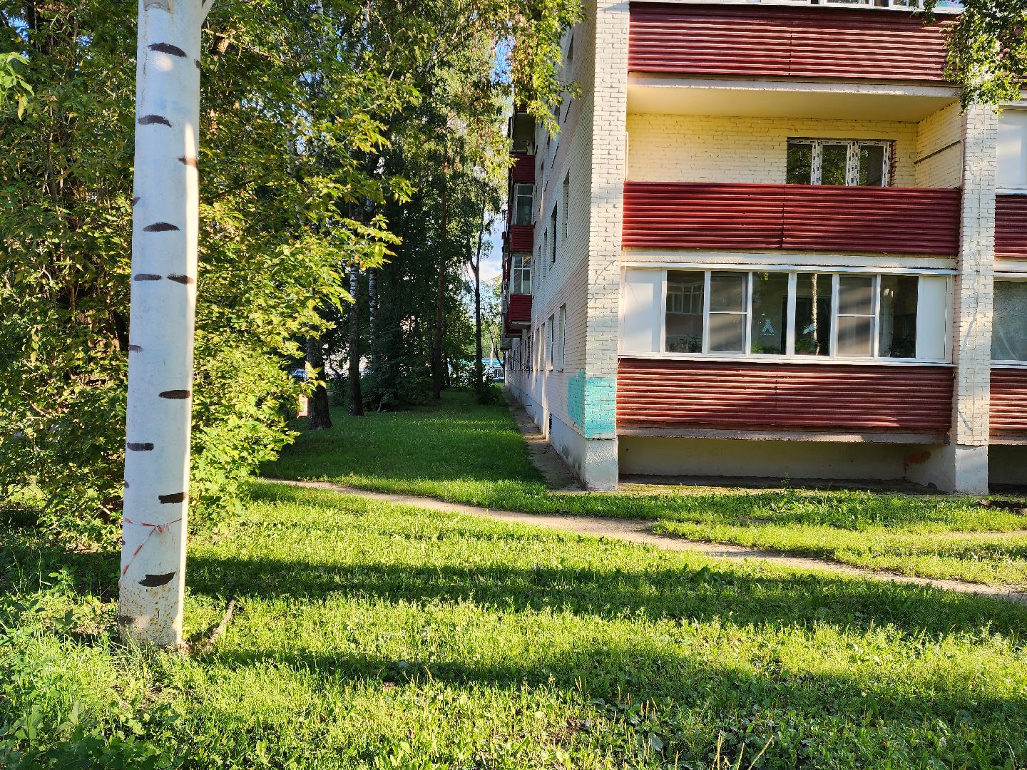 раменское, общество, выездная администрация, площадка у озера Пионер,