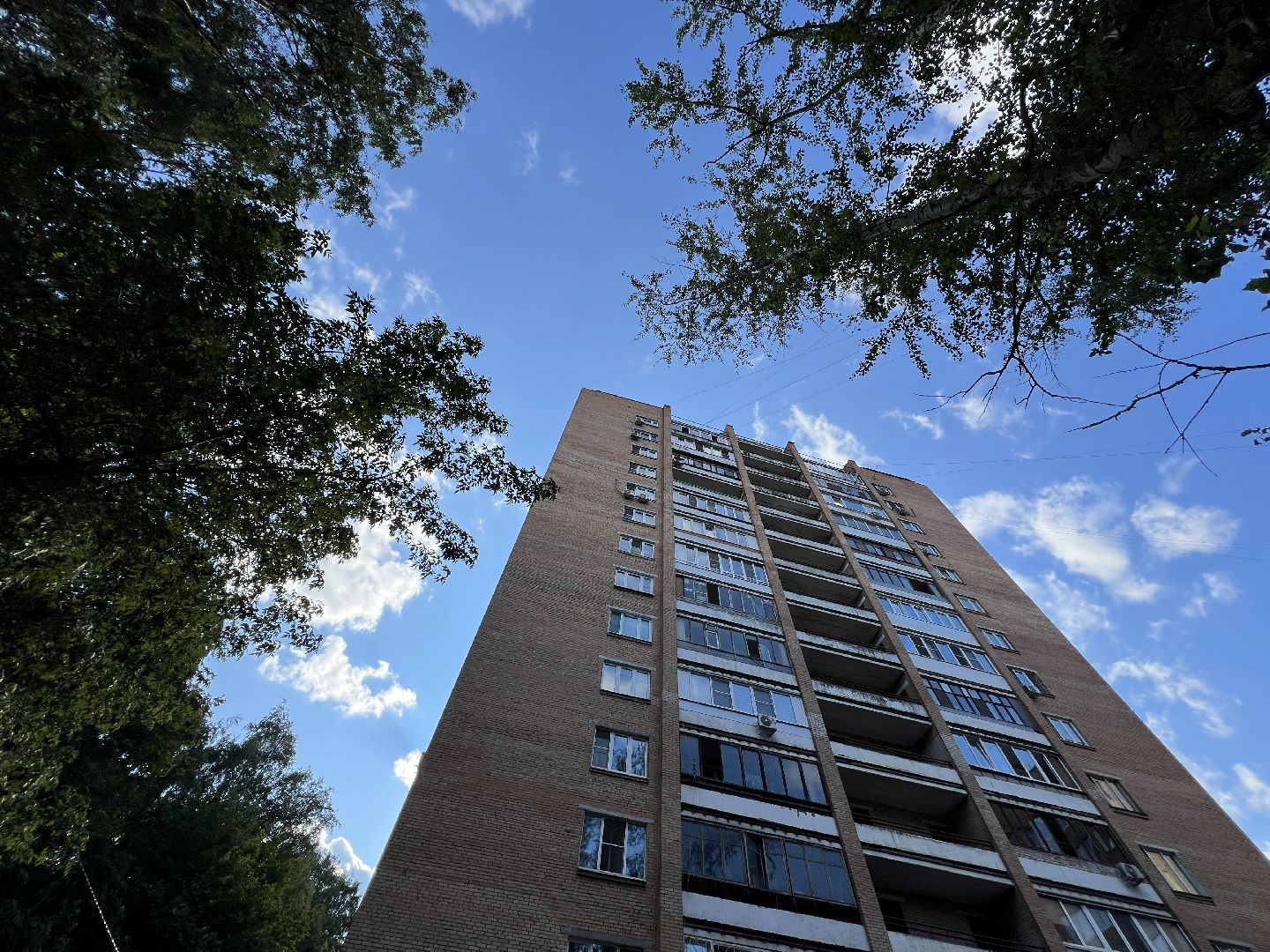 химки, выездная администрация, благоустройство, обращения жителей,