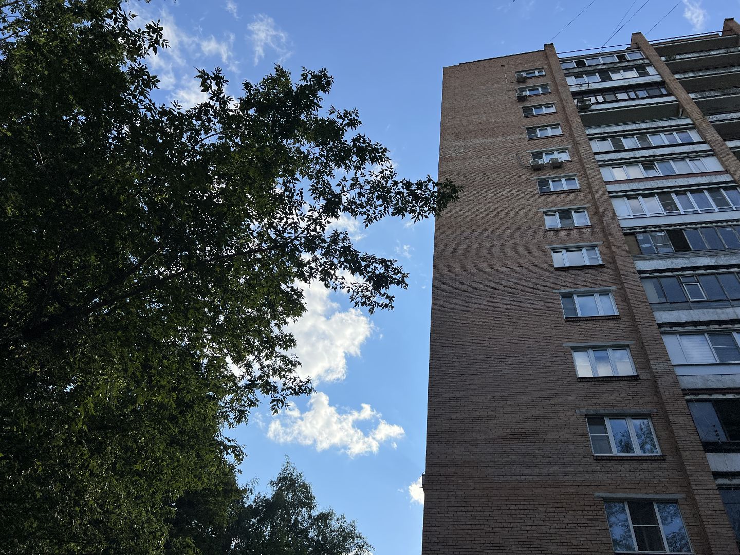 химки, выездная администрация, благоустройство, обращения жителей,