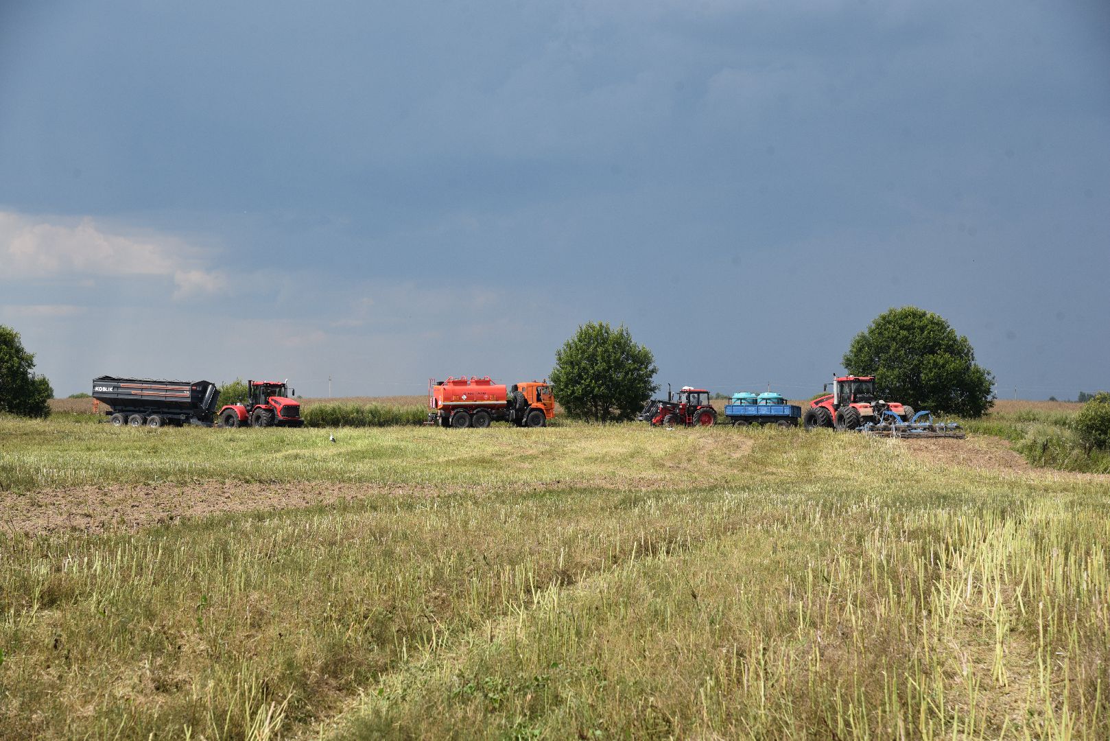 лотошино, сельское хозяйство, рапс,