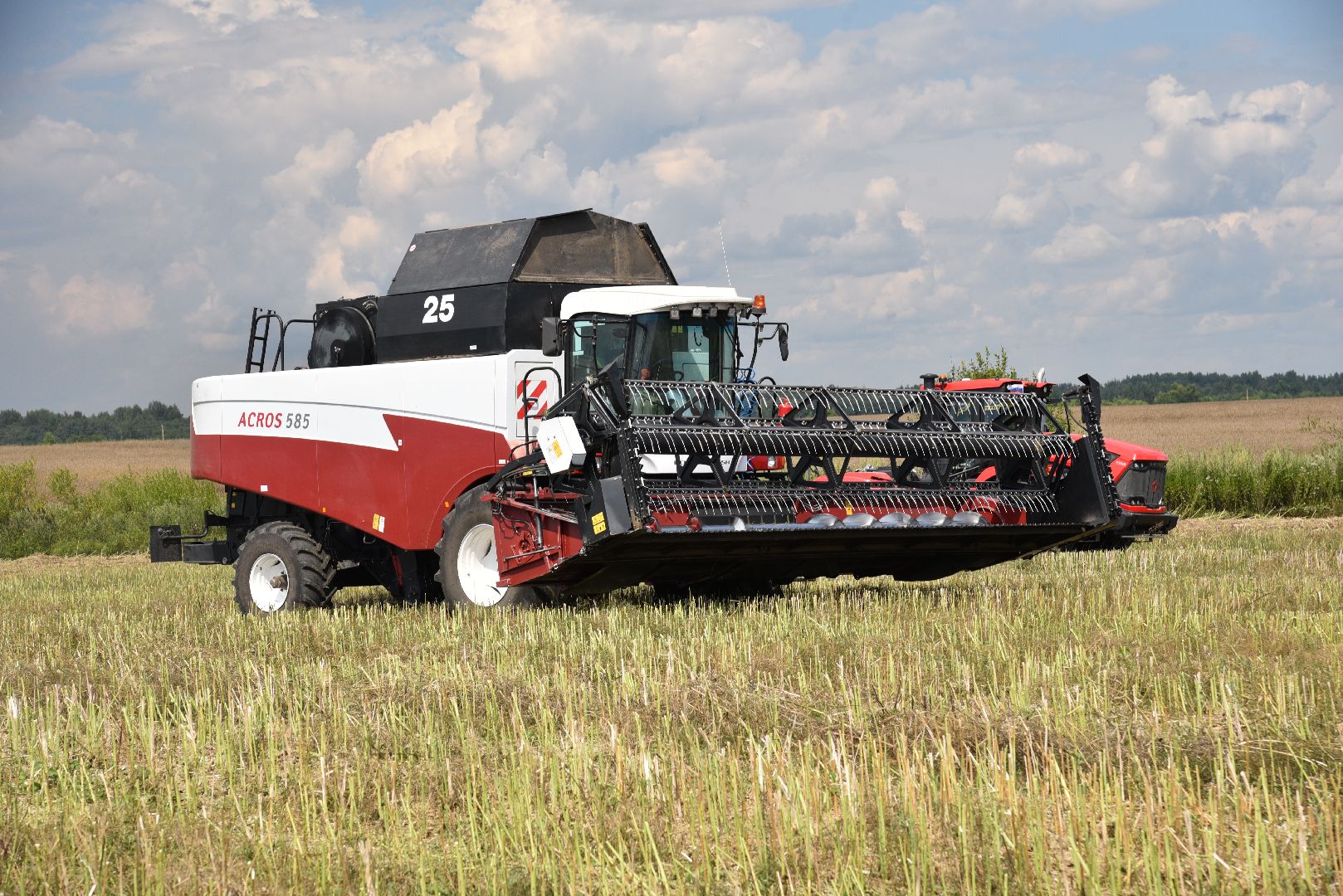 лотошино, сельское хозяйство, рапс,