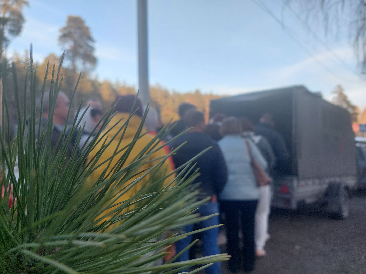 общество, акция, деревья, весна