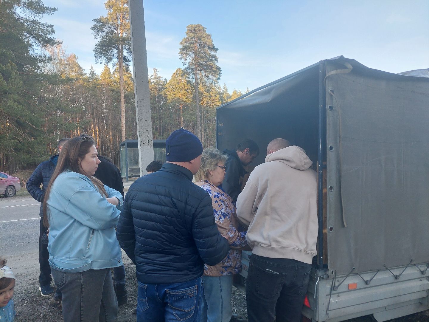 общество, акция, деревья, весна