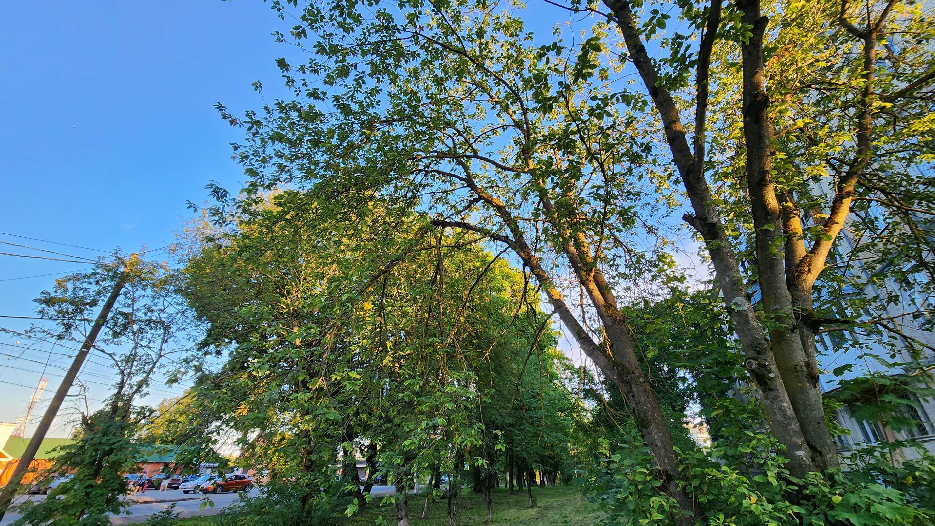 Солнечногорск, Майдарово, Выездная администрация, благоустройство,