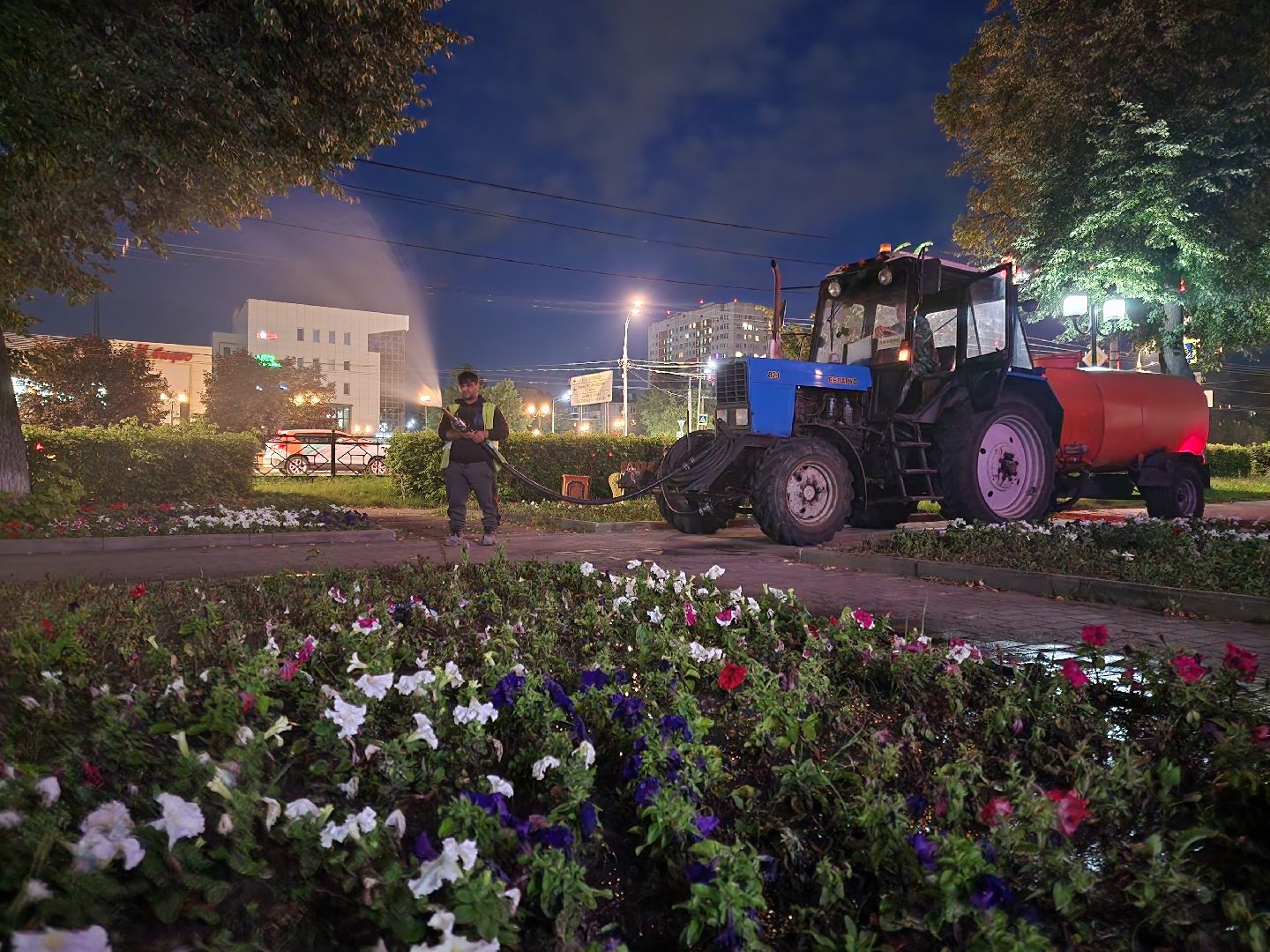 Подольск, Благоустройство, Клумбы, Цветы,