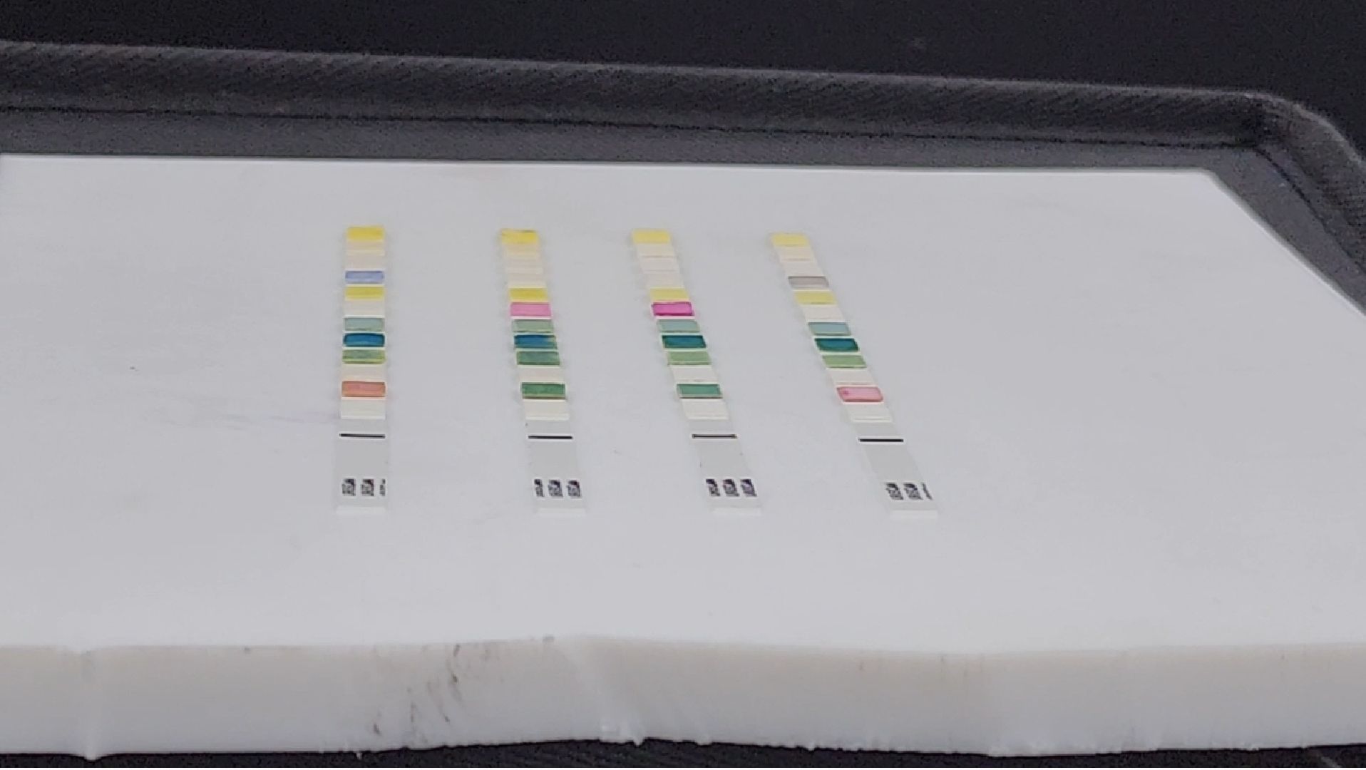 долгопрудный, мфти, студенческий стартап, анализ мочи,