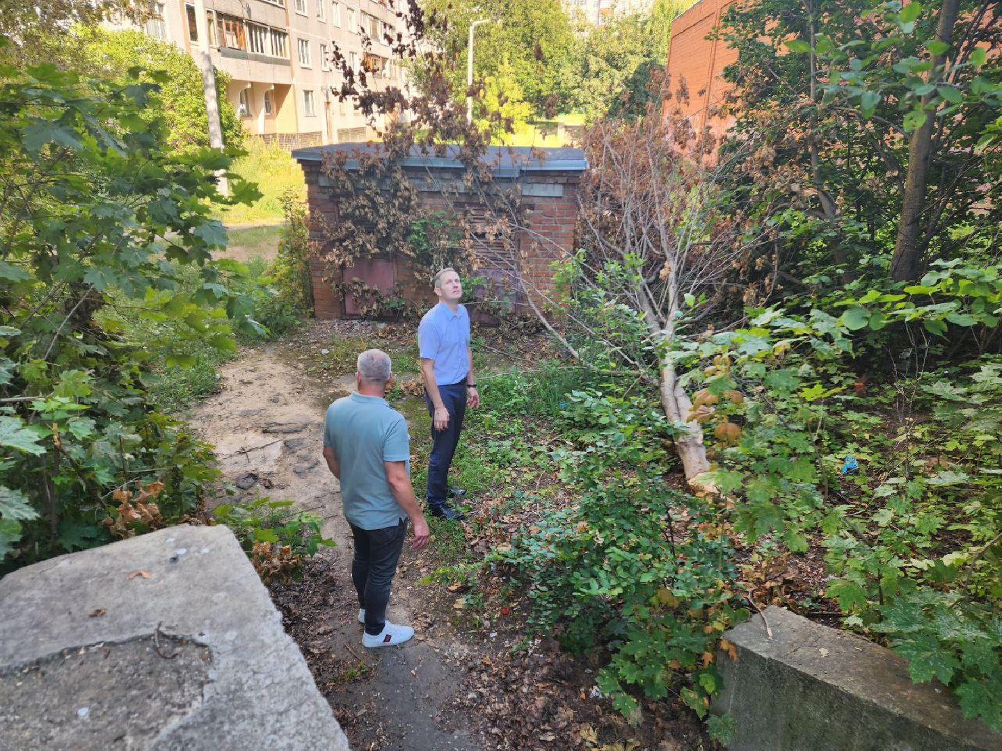 благоустройство, серпухов, пущино,