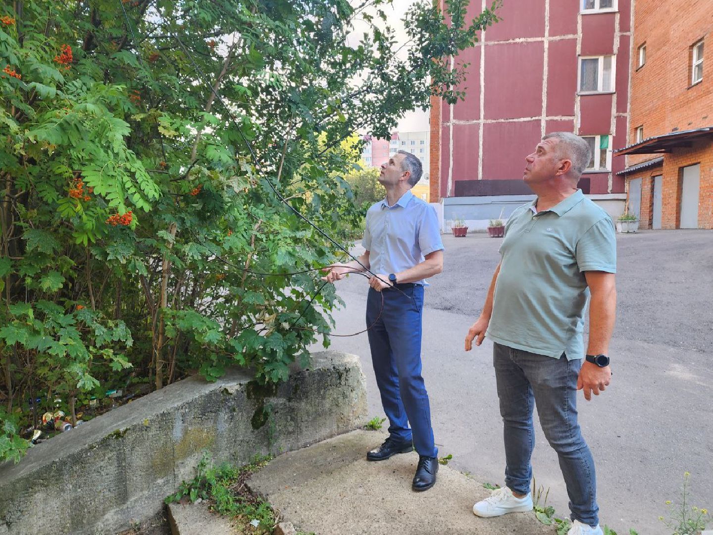 благоустройство, серпухов, пущино,