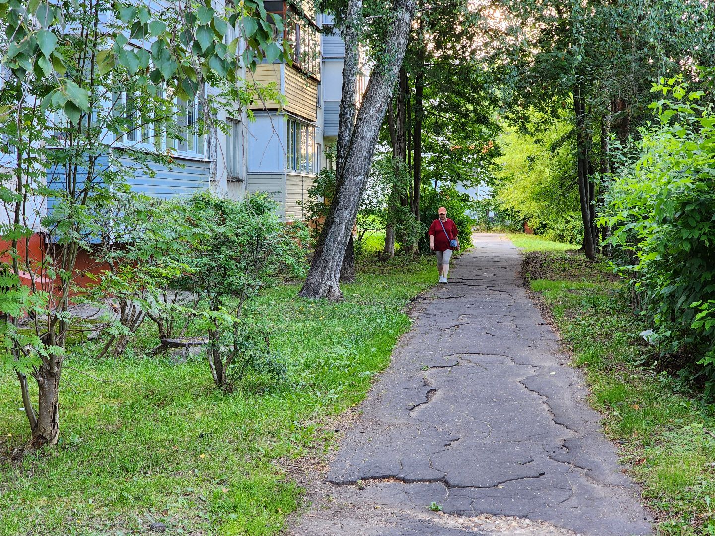 Чехов, микрорайон Венюково, улица Гагарина, содержание территорий, проверка, контроль, глава округа Михаил Собакин,