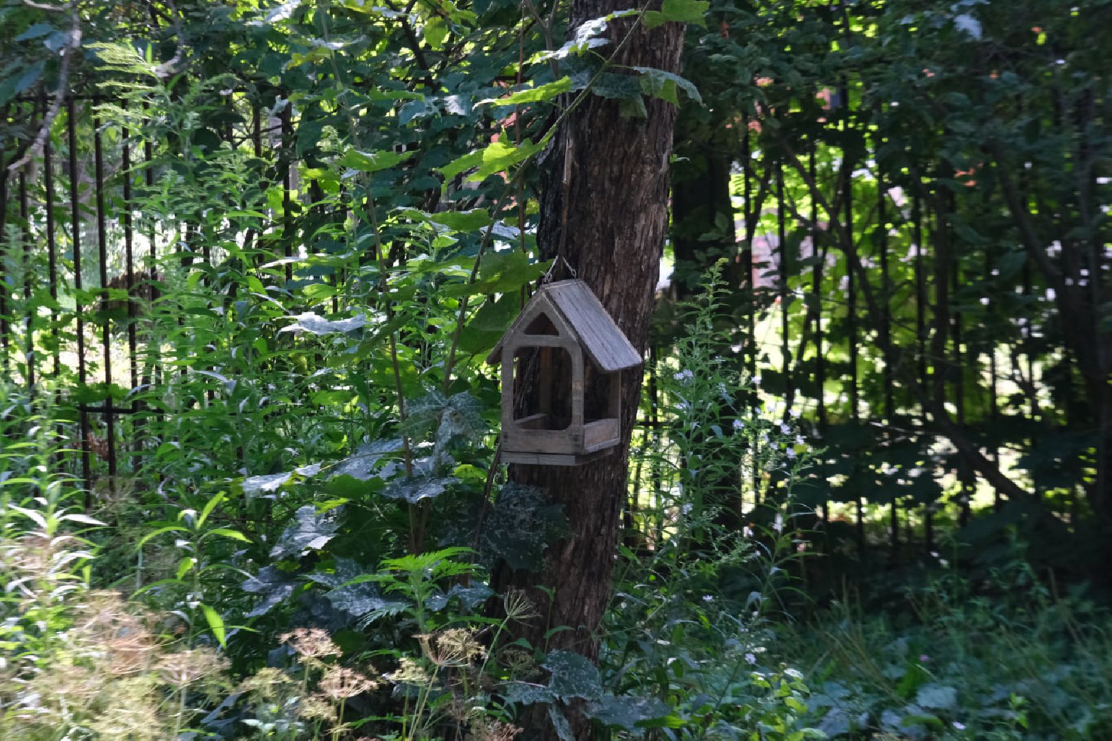 пущино, серпухов, выездная администрация,