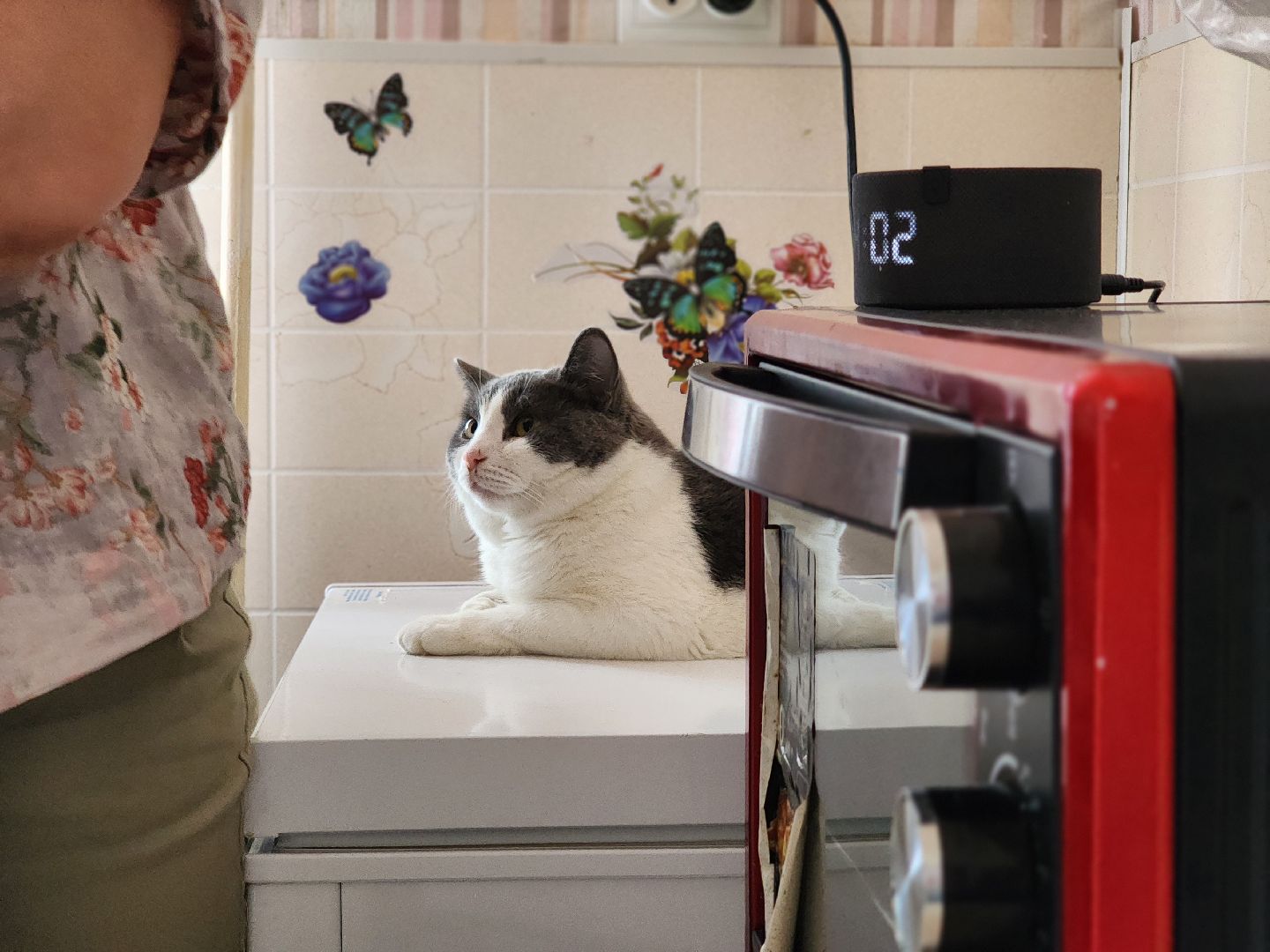 воскресенск, квартира, жильё,