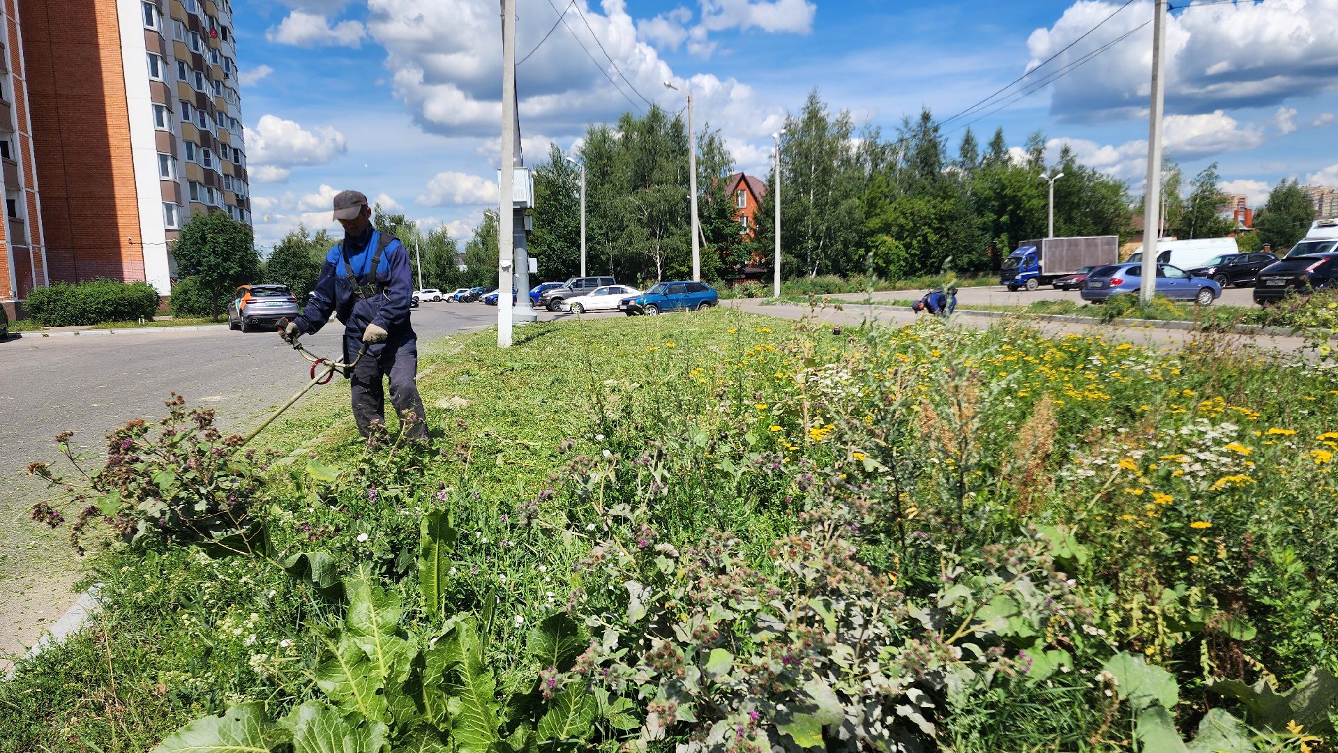благоустройсво, Домодедово, Подмосковье, Благоустройство, покос травы, Уборка мусора, управляющая компания, коммунальная служба,