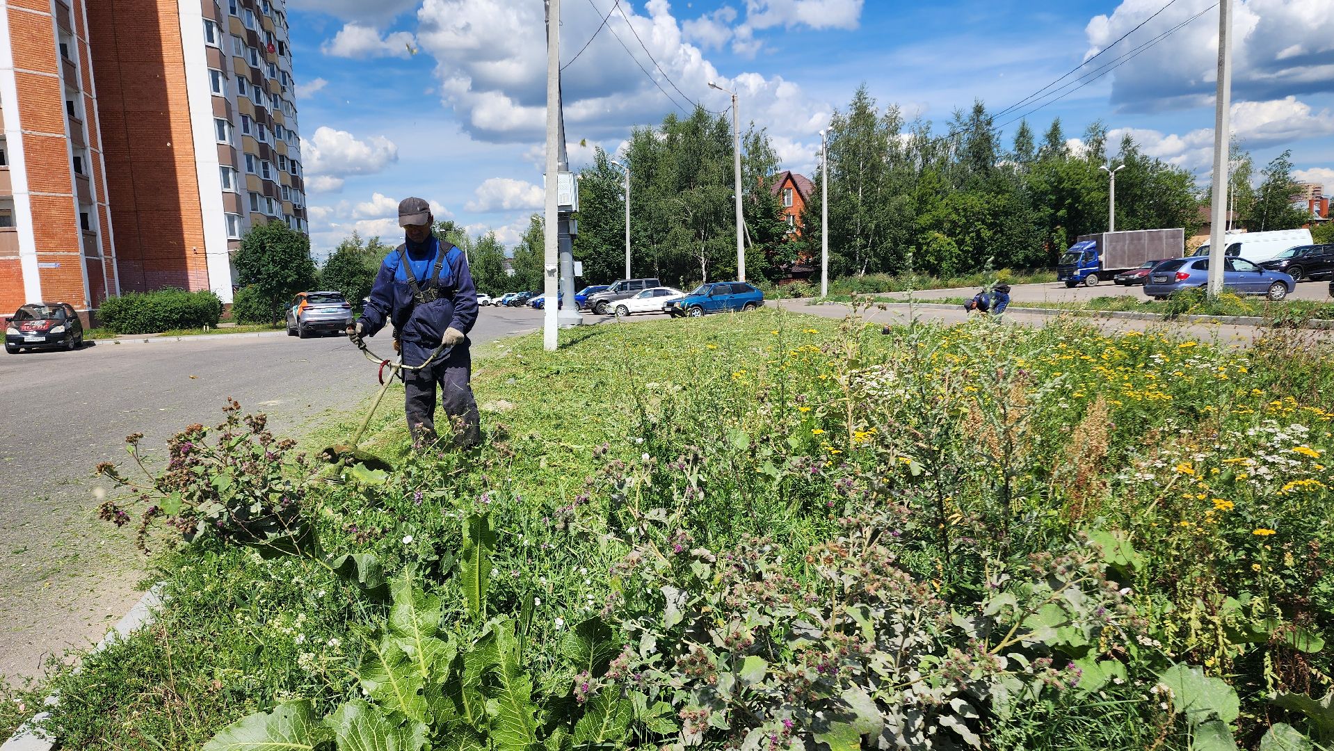 благоустройсво, Домодедово, Подмосковье, Благоустройство, покос травы, Уборка мусора, управляющая компания, коммунальная служба,