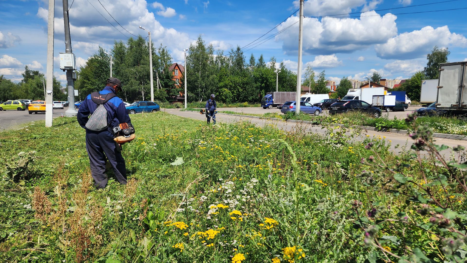 благоустройсво, Домодедово, Подмосковье, Благоустройство, покос травы, Уборка мусора, управляющая компания, коммунальная служба,