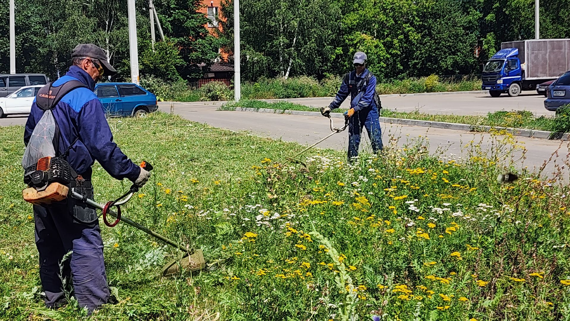 благоустройсво, Домодедово, Подмосковье, Благоустройство, покос травы, Уборка мусора, управляющая компания, коммунальная служба,