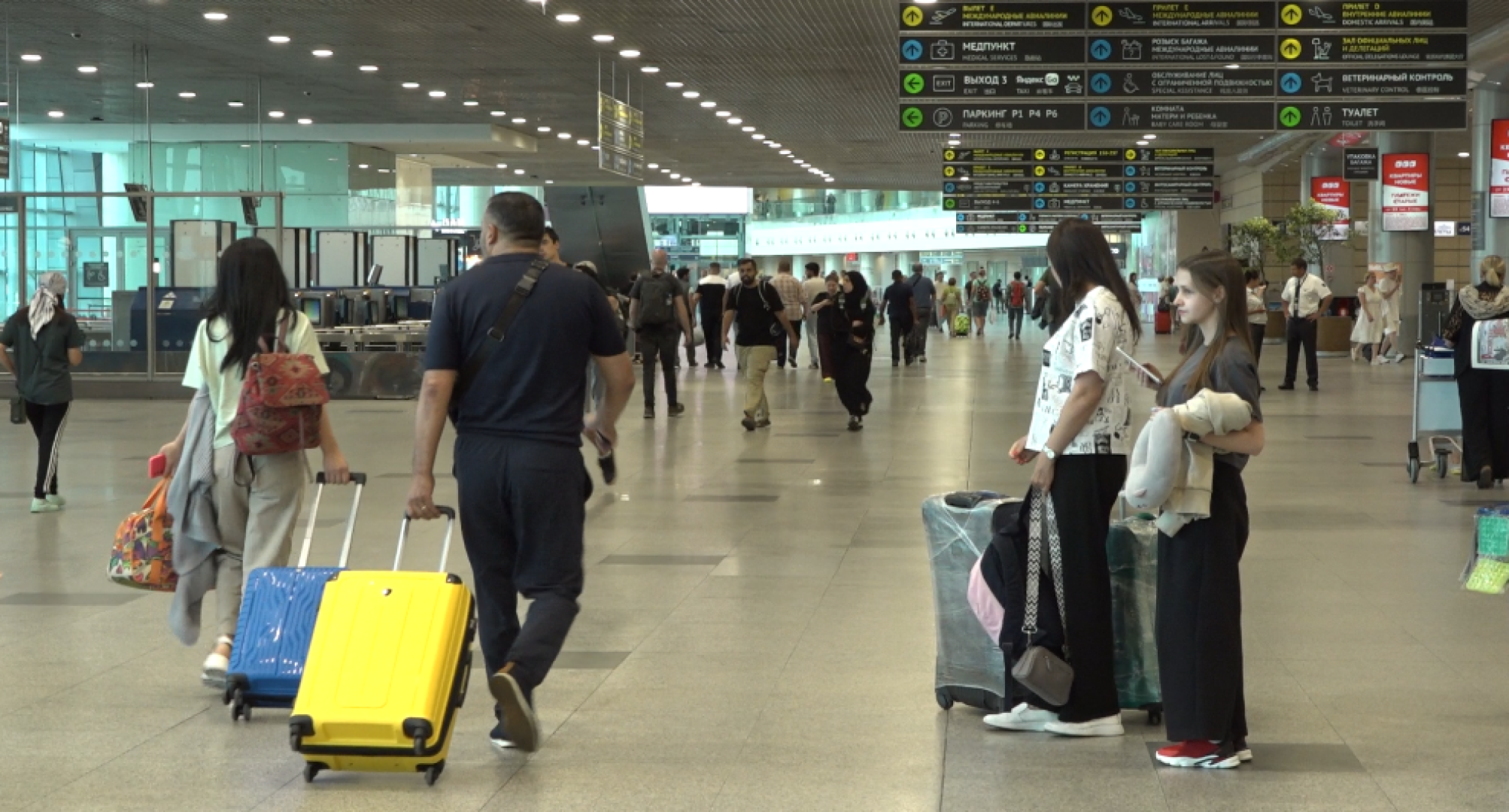 аэропорт Домодедово, психологическая служба, страх полетов,