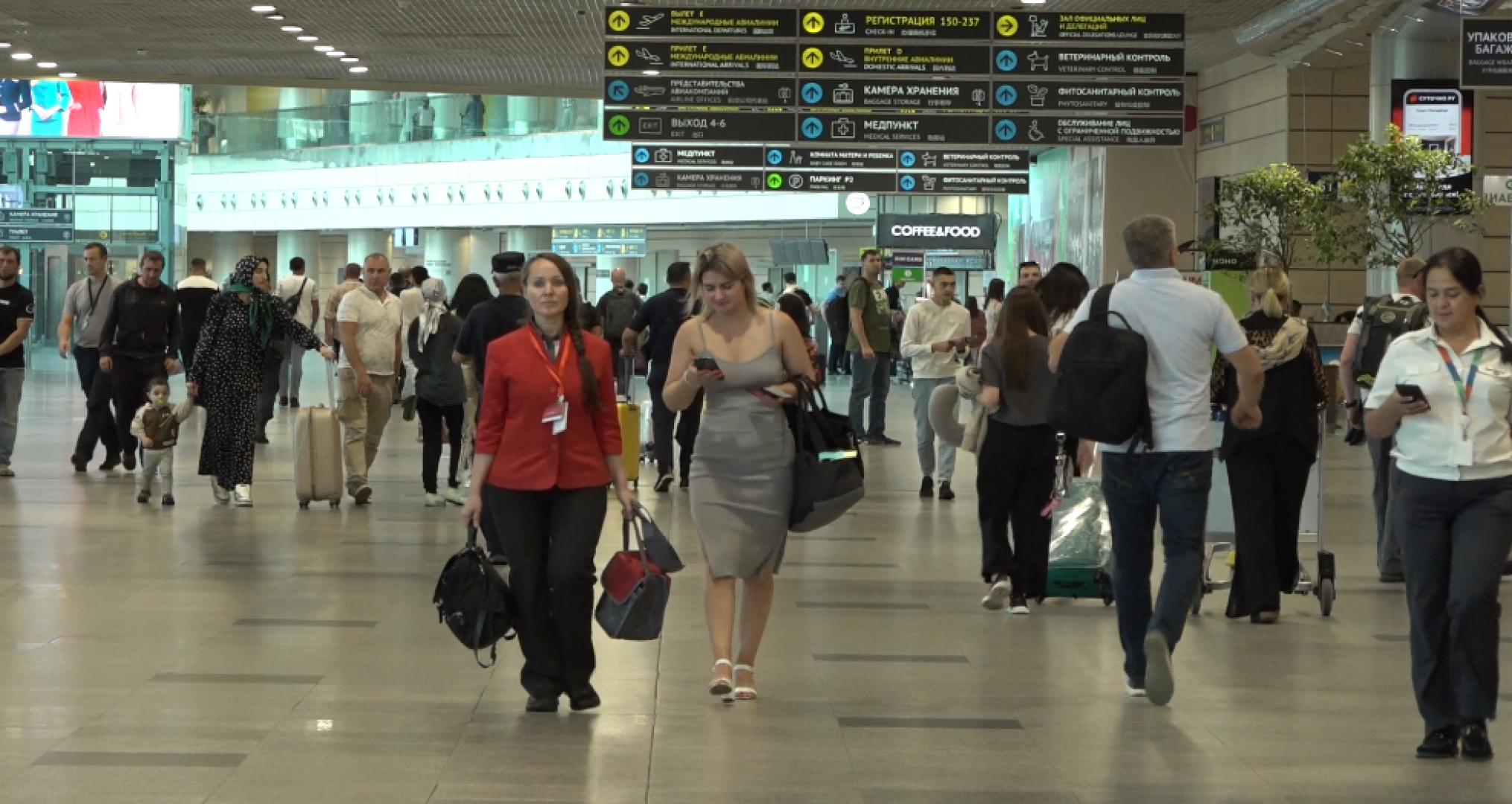 аэропорт Домодедово, психологическая служба, страх полетов,