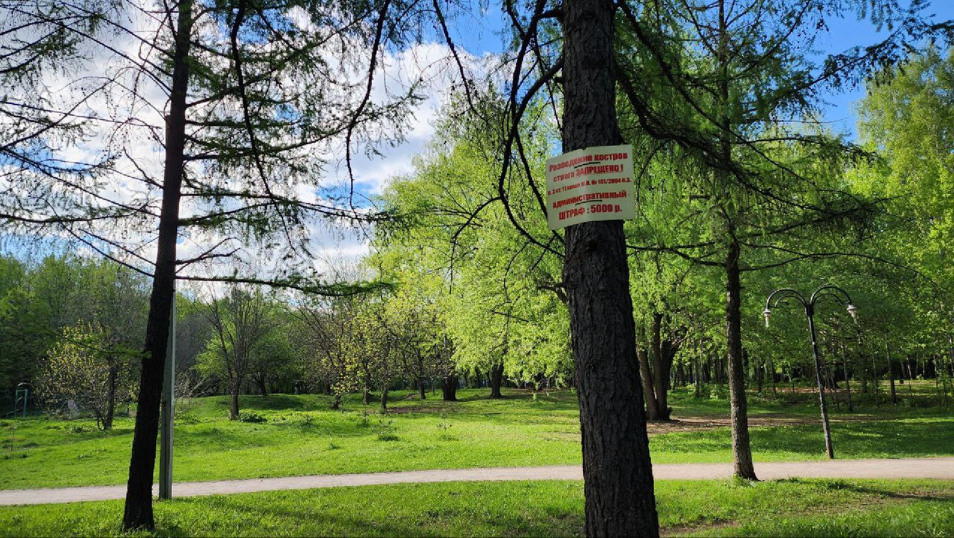 люберцы, выездная администрация, наташинский парк, шашлыки,