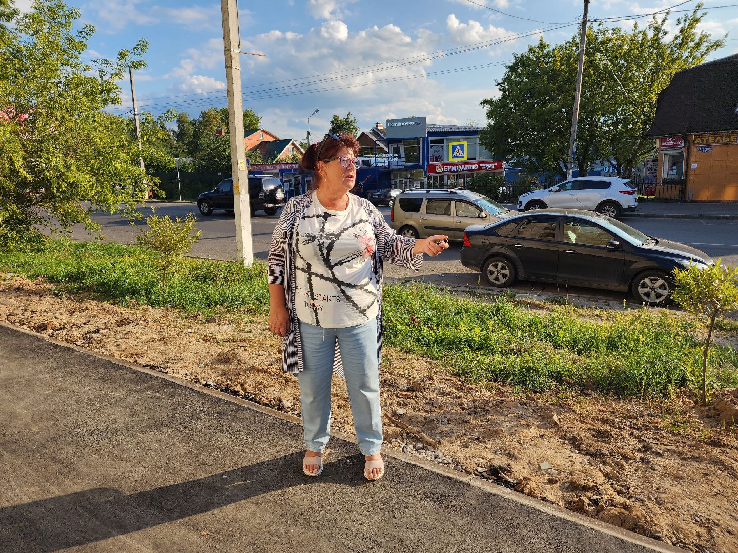 Чехов, микрорайон Венюково, выездная администрация, встреча с жителями, обращения граждан, ремонт тротуара, асфальтирование подходов, социальные объекты, Мосавтодор,