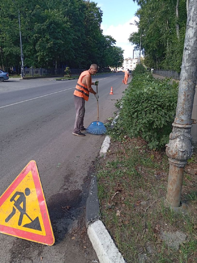 жкх, воскресенск, растения,