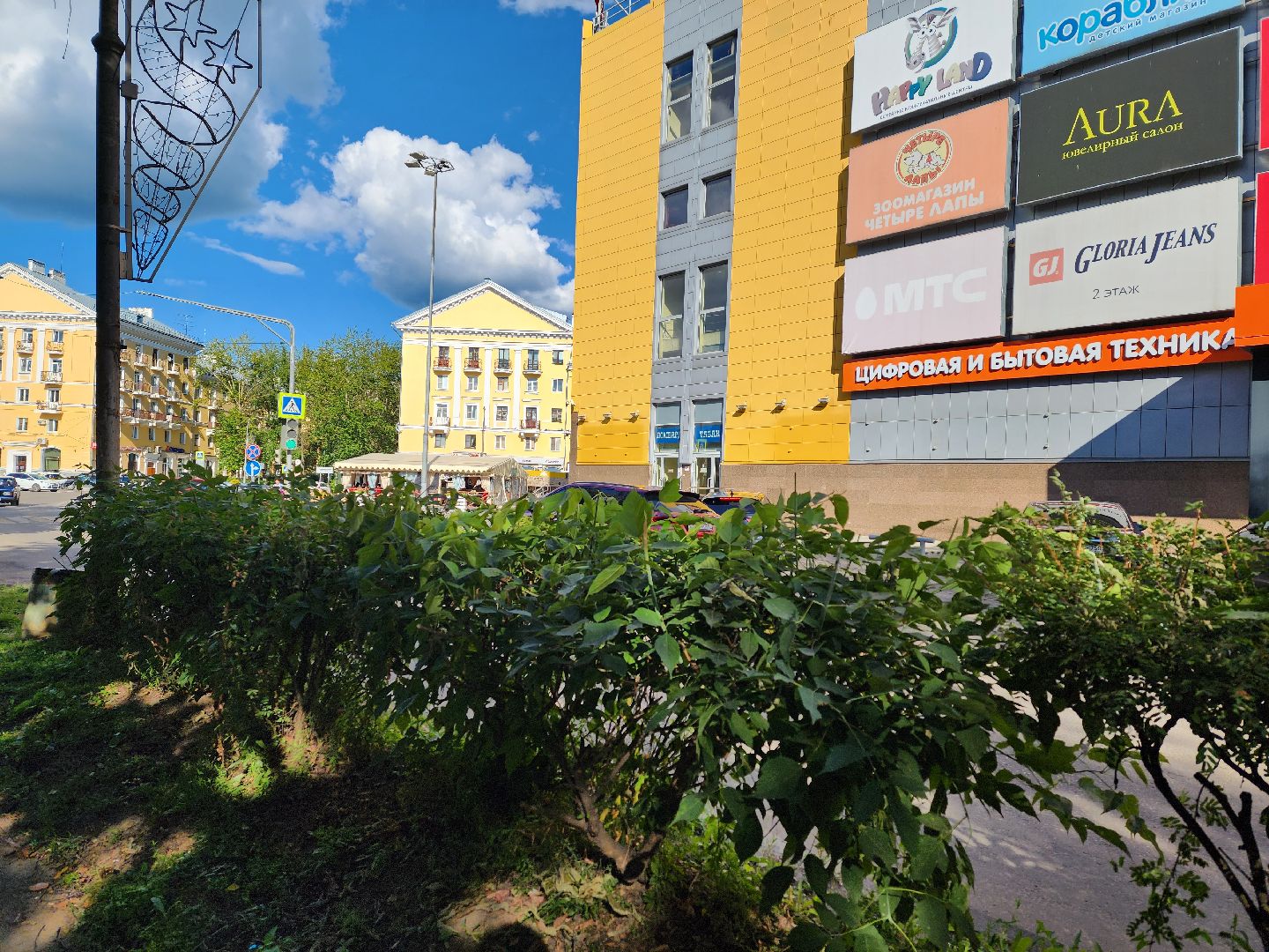 жкх, воскресенск, растения,