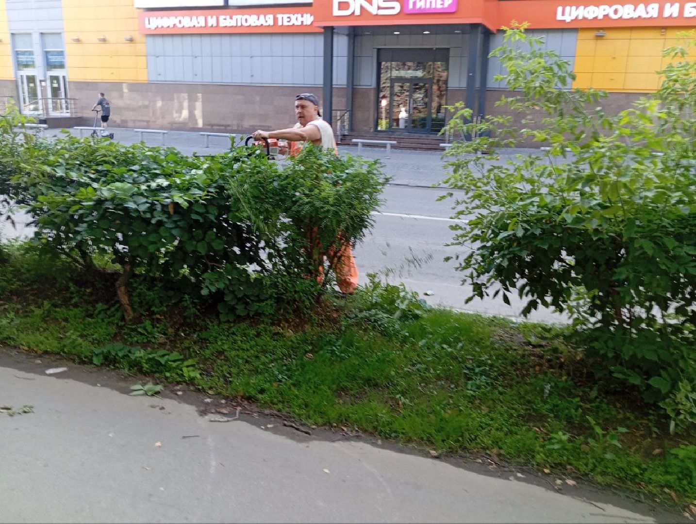 жкх, воскресенск, растения,