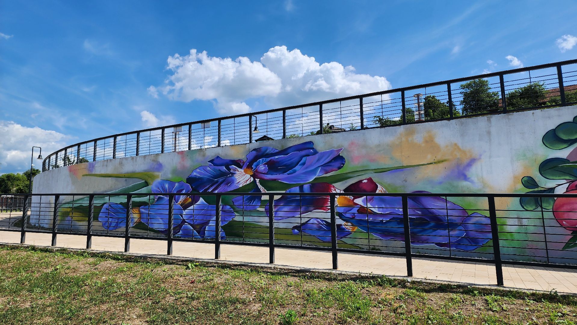 кашира, граффити, стрит-арт, художник, набережная оки, день города, цветы, благоустройство,