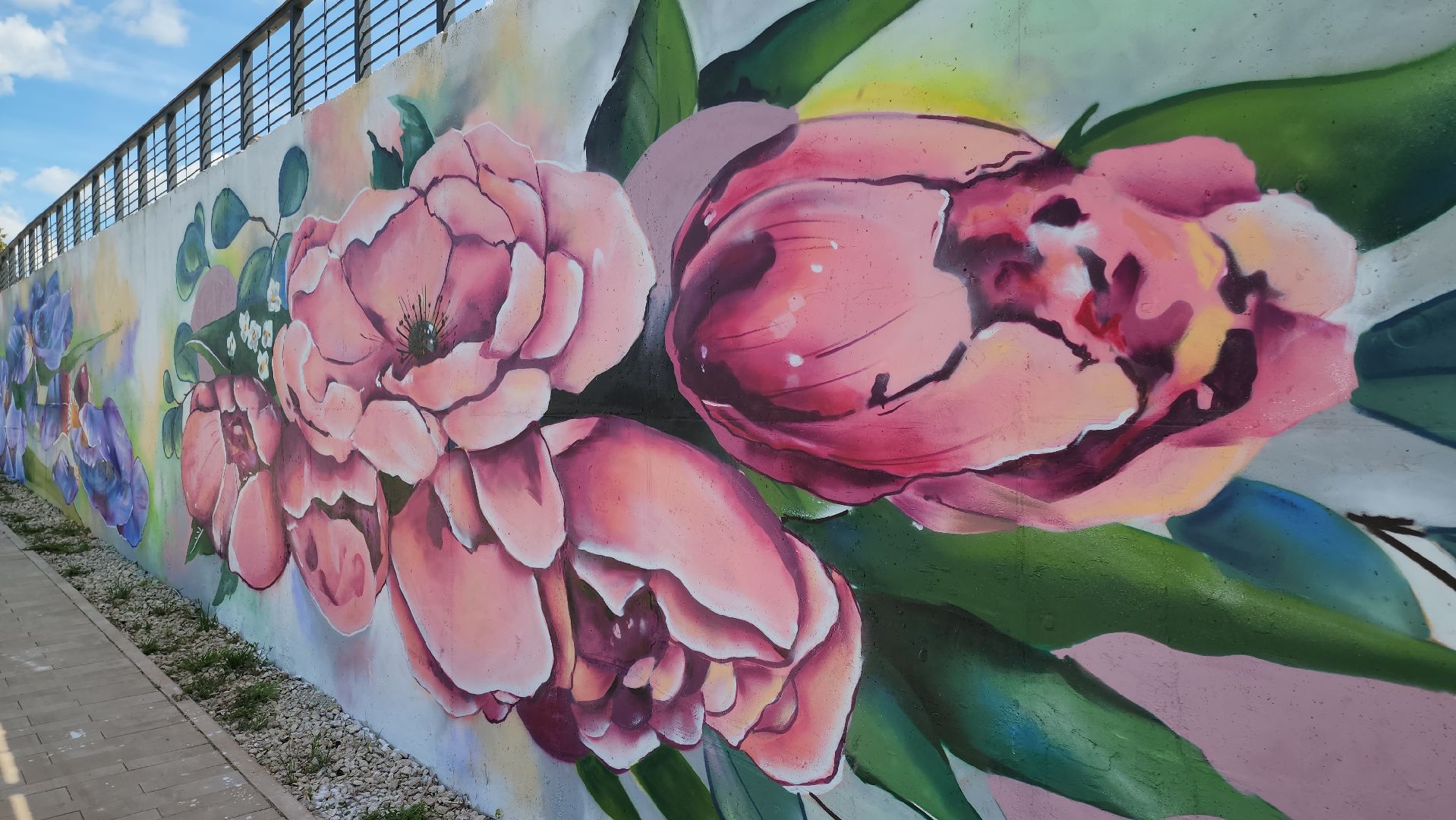 кашира, граффити, стрит-арт, художник, набережная оки, день города, цветы, благоустройство,