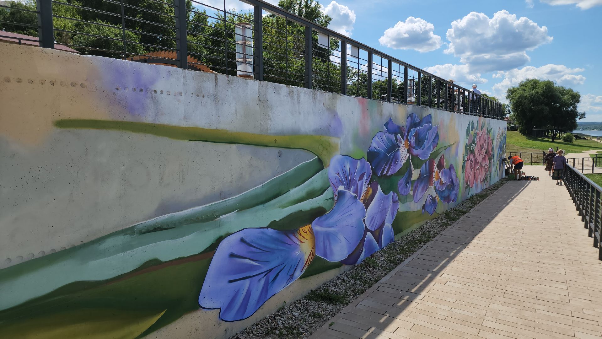 кашира, граффити, стрит-арт, художник, набережная оки, день города, цветы, благоустройство,